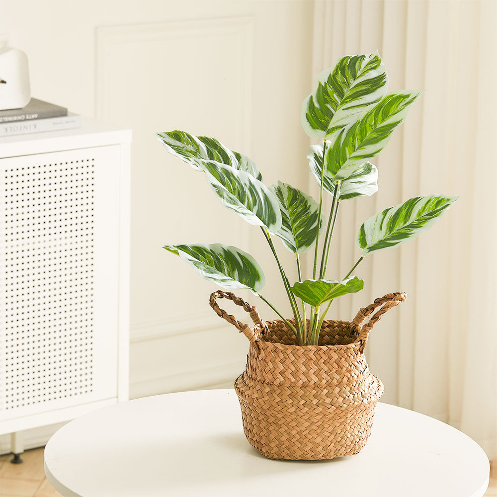 Simulated Plants 9 Heads White Oil Painting Arrowroot Potted Plants